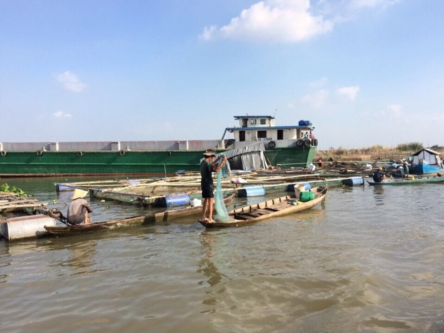 Hiện trường sà lan va chạm vào các bè nuôi cá trên sông.