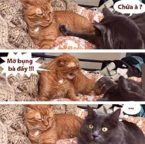 Nỗi niềm chung của phụ nữ. Nỗi niềm chung của phụ nữ.