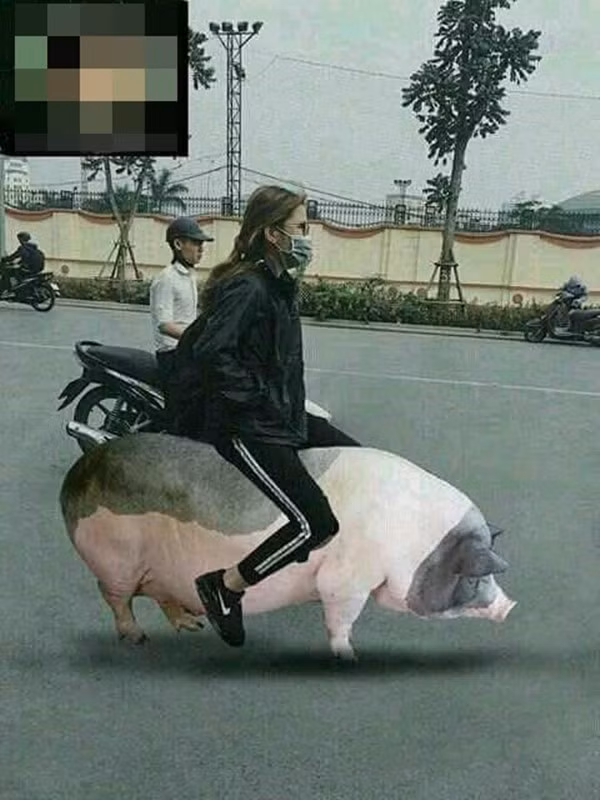 che anh blgotin (14)