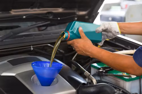 Ảnh: Shutterstock.