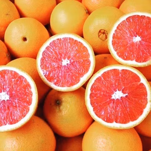 Lời đồn chống ung thư: Đổ xô đi mua quả cam máu