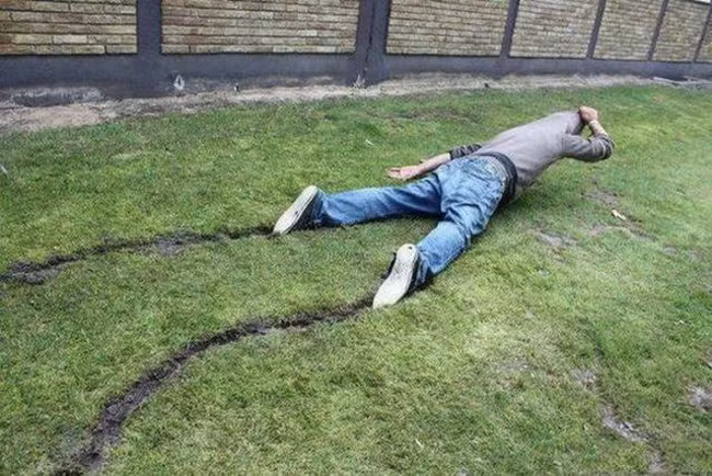 dung ngac nhien khi chung kien tinh huong kho do cua quy ong hinh anh 3