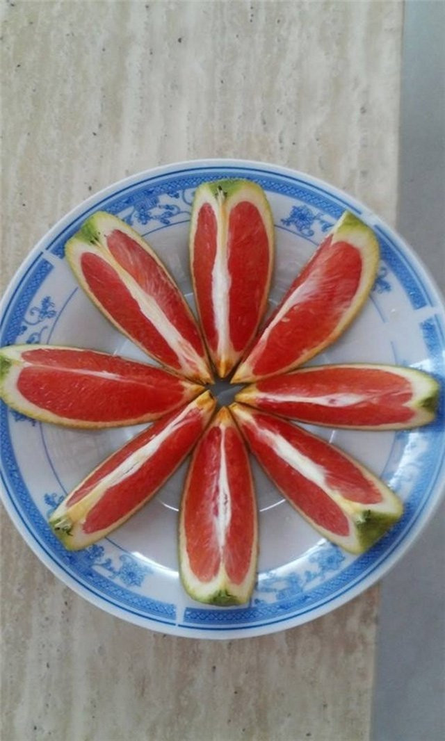 Lời đồn chống ung thư: Đổ xô đi mua quả cam máu Lời đồn chống ung thư: Đổ xô đi mua quả cam máu