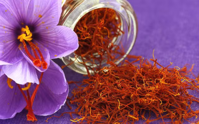  Hiện nay, một cân nhụy nghệ tây rơi vào khoảng 10.000 USD, tương đương 230 triệu đồng. 