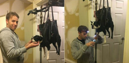 Giải pháp để chú chó chịu đứng im khi ông chủ muốn sửa móng chân cho nó.