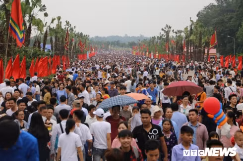 hang cay xanh tai den hung bi du khach giam dap khong thuong tiec hinh 1