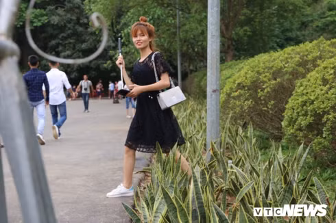 hang cay xanh tai den hung bi du khach giam dap khong thuong tiec hinh 6