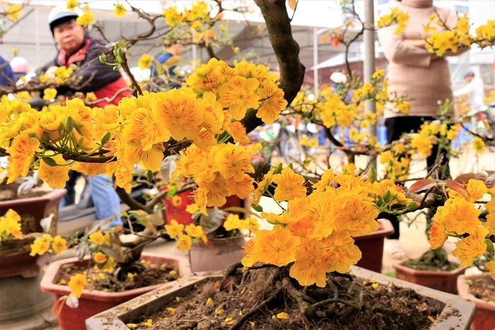 Rát mặt chiều 28 Tết: Màn trời chiếu đất, ôm lỗ 100 triệu