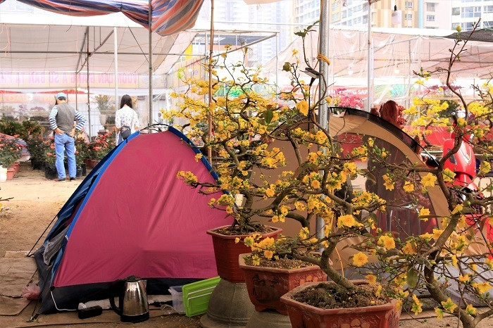 Rát mặt chiều 28 Tết: Màn trời chiếu đất, ôm lỗ 100 triệu