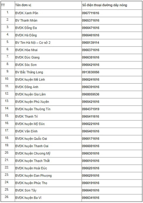 ha noi cong bo danh sach duong day nong truc cap cuu dip tet hinh 2