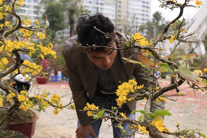 Rát mặt chiều 28 Tết: Màn trời chiếu đất, ôm lỗ 100 triệu