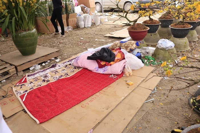 Rát mặt chiều 28 Tết: Màn trời chiếu đất, ôm lỗ 100 triệu