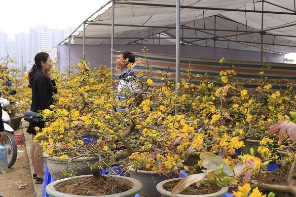 Rát mặt chiều 28 Tết: Màn trời chiếu đất, ôm lỗ 100 triệu