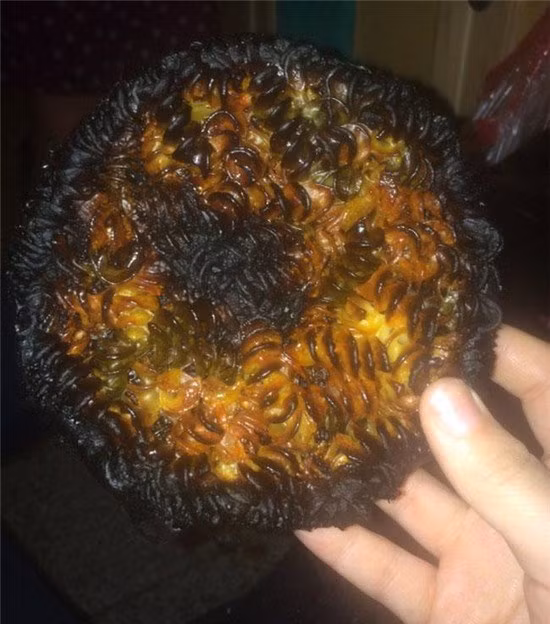 Hài hước những thảm họa bếp núc năm nào cũng nhan nhản dịp Tết