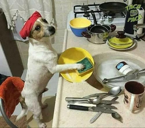 Muốn ăn phải lăn vào bếp. Muốn ăn phải lăn vào bếp.