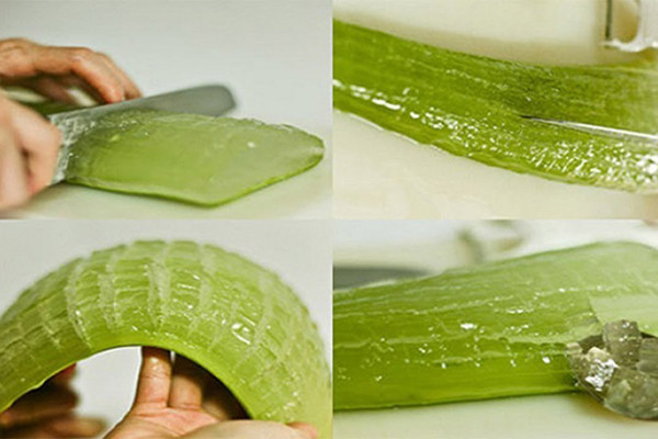 Lô hội cũng là liều thuốc chữa bỏng da do nắng rất hữu hiệu. Bạn chỉ cần thái lát lô hội tươi, đắp lên da khoảng 30 phút. Lô hội cũng là liều thuốc chữa bỏng da do nắng rất hữu hiệu. Bạn chỉ cần thái lát lô hội tươi, đắp lên da khoảng 30 phút.