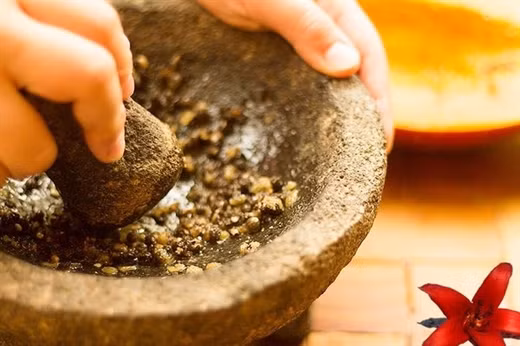 Phuong phap tri ung thu hieu qua chi nho nam hat du du