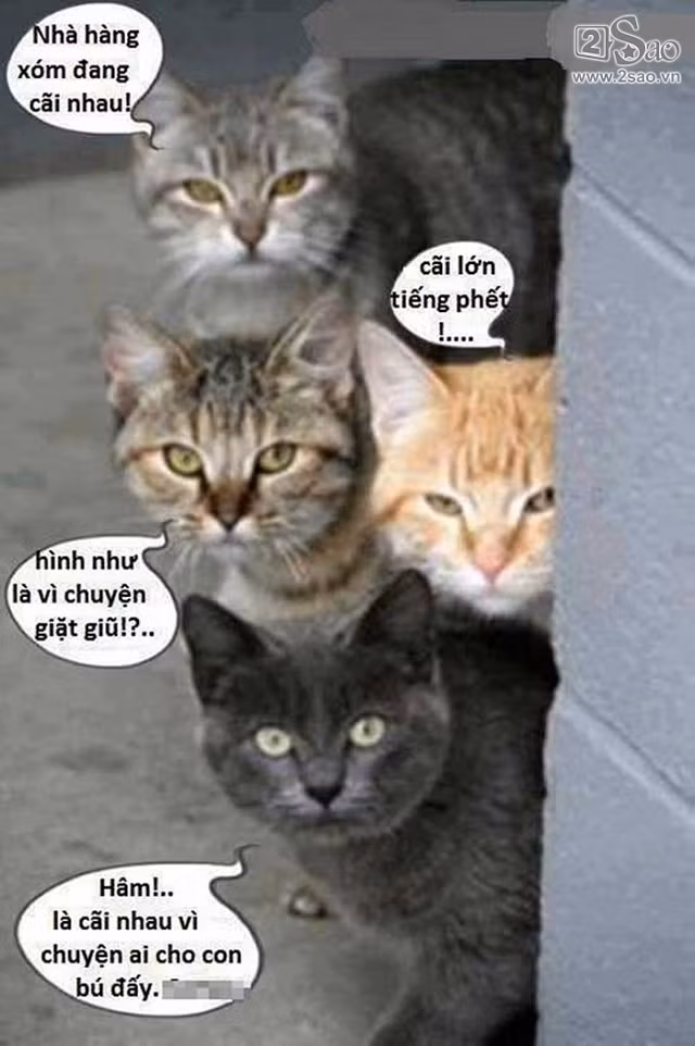 Động vật sẽ nói gì khi các ‘thánh chế’ ra tay - Hình 1