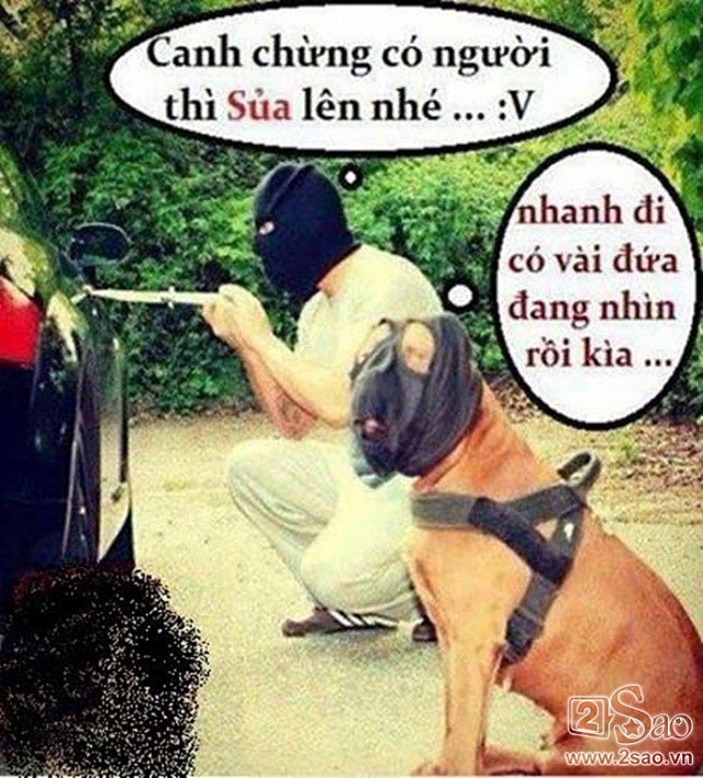 Động vật sẽ nói gì khi các ‘thánh chế’ ra tay - Hình 4