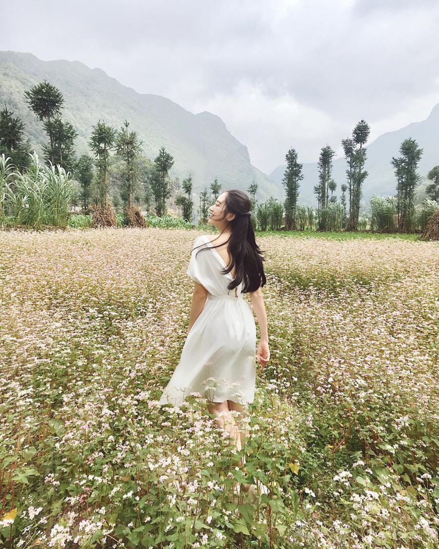 8 điểm check-in ngàn like khi đến Hà Giang mùa tam giác mạch ảnh 1 ha-giang-01