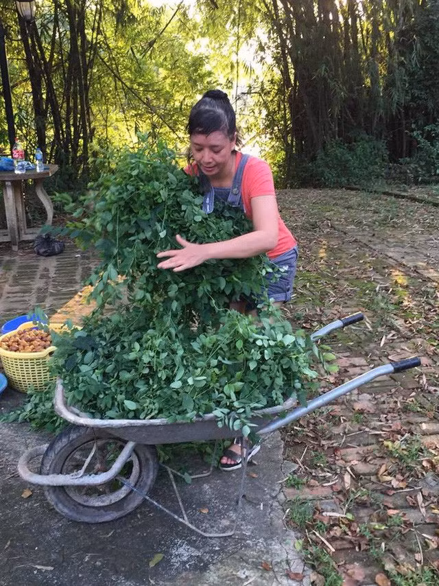 Nhà phố và vườn rộng 1000 m2 của Chiều Xuân - Ảnh 14.