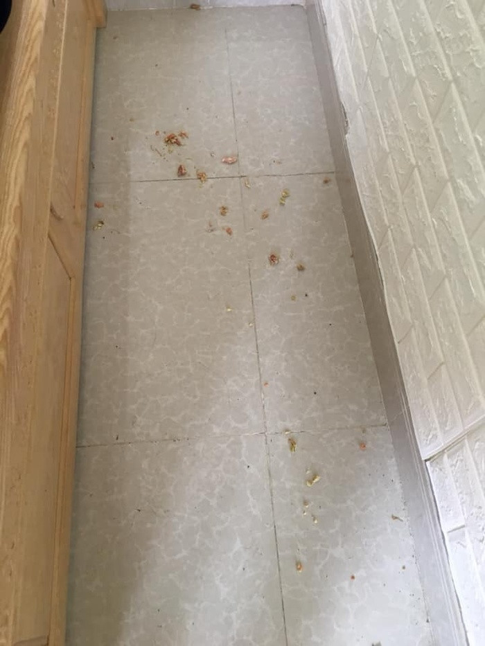 Cho thuê homestay, chủ nhà kinh hãi nhìn cảnh tượng sau khi khách check out ảnh 1