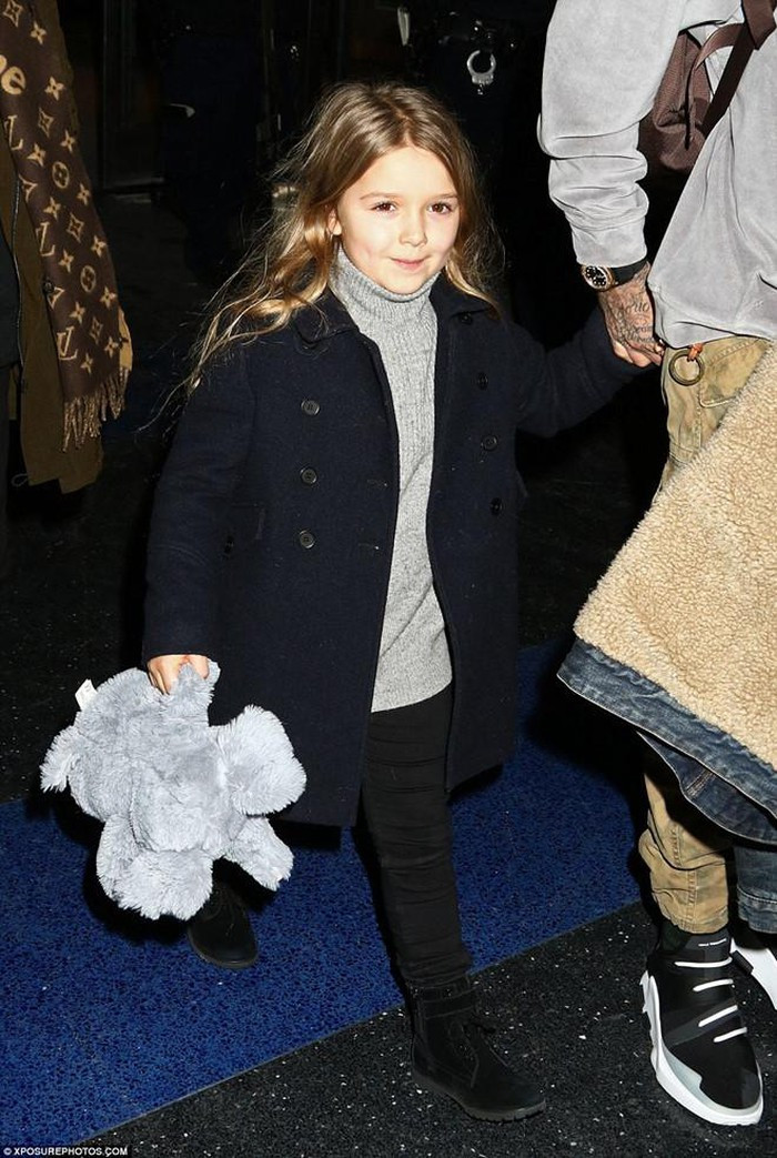 Dàn ái nữ được cưng chiều của các ông chủ CLB bóng đá ảnh 9