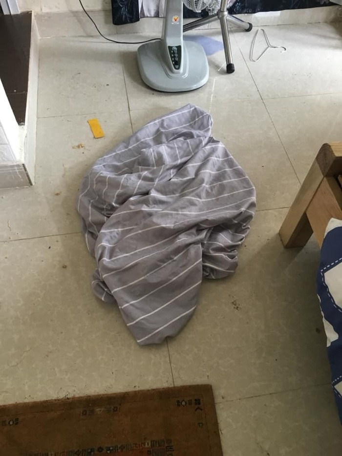 Cho thuê homestay, chủ nhà kinh hãi nhìn cảnh tượng sau khi khách check out ảnh 2