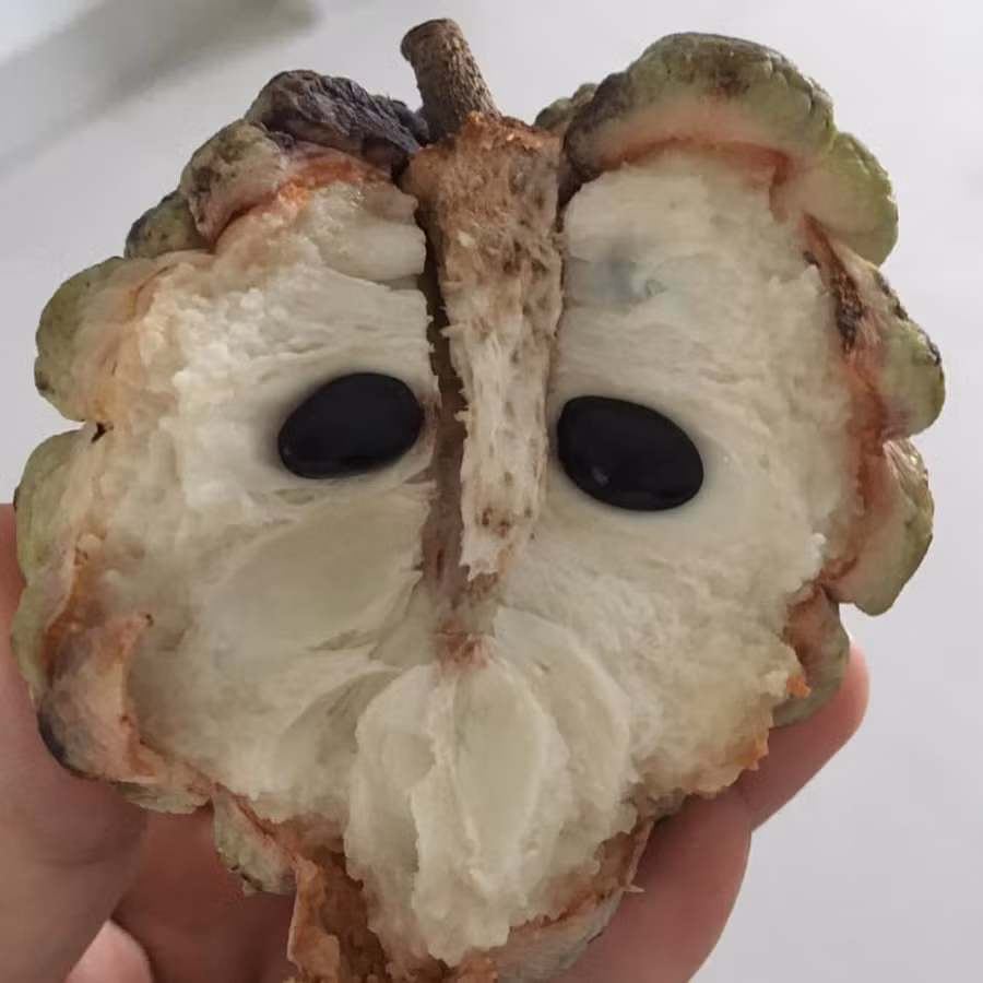 Thèm ăn na mà thấy cảnh này sao nỡ ăn.