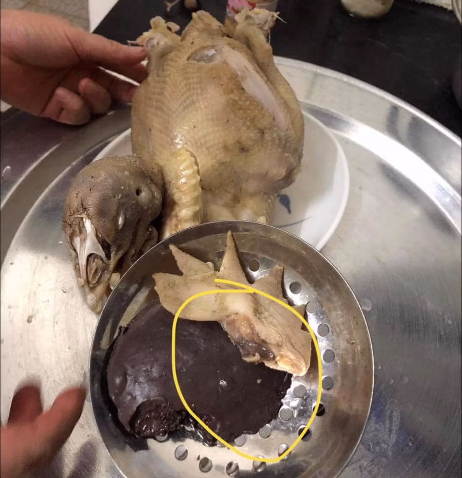 Đây là tác phẩm của ông chồng khi vợ nhờ luộc gà thắp hương cúng rằm. Mong các cụ thông cảm!