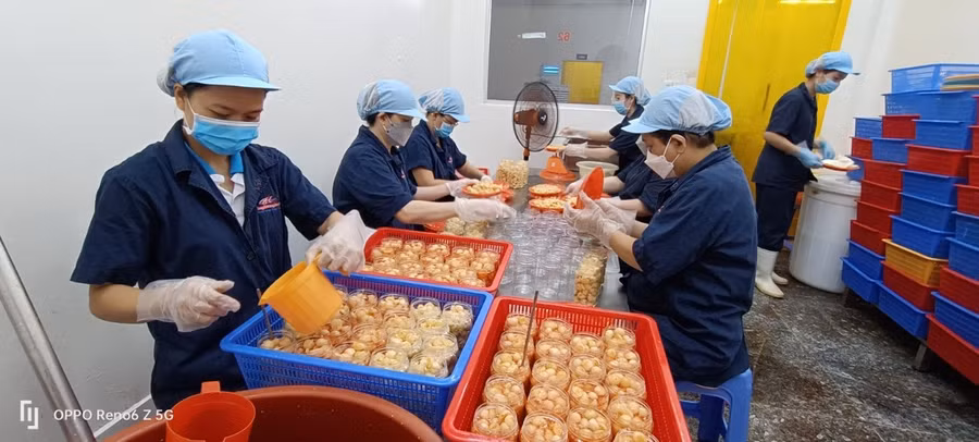 Theo các chuyên gia kinh tế, nhu cầu vay vốn của các DN trong quý II, quý III năm nay sẽ rất cao. Ảnh: Quốc Hải