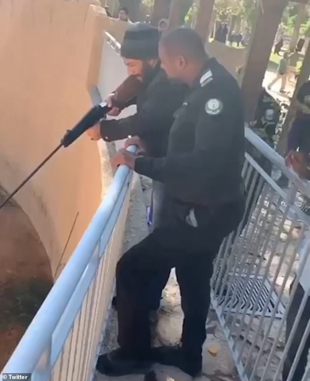 Các nhân viên sở thú bắn thuốc gây mê vào con hổ.