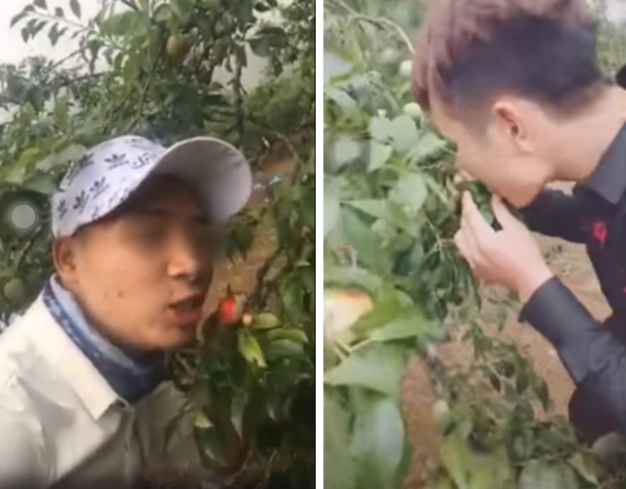 Hành vi này đã vấp phải sự chỉ trích dữ dội từ cư dân mạng Hành vi này đã vấp phải sự chỉ trích dữ dội từ cư dân mạng