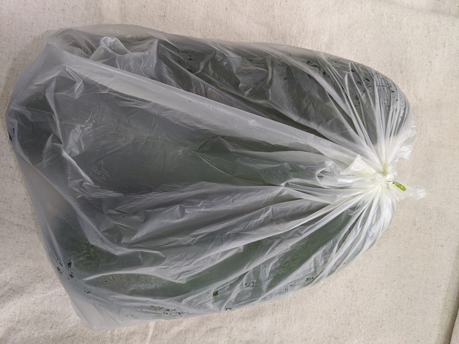 Cho vào túi buộc lại thật kín.