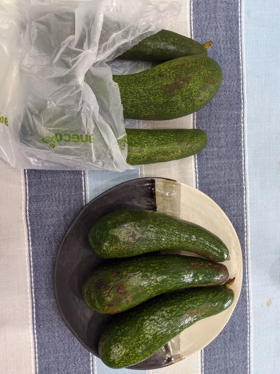 Chọn quả bơ chín già.