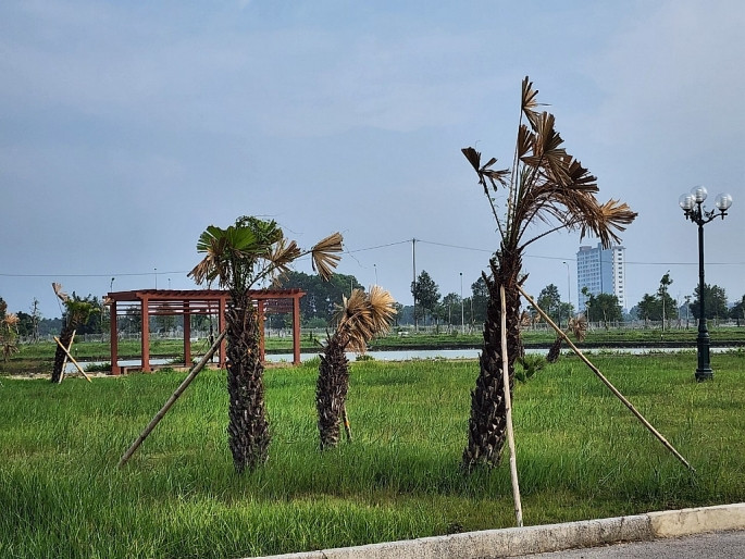 Năm 2022, khoảng gần 500 cây xanh ở Công viên Bố Vệ bị chết.