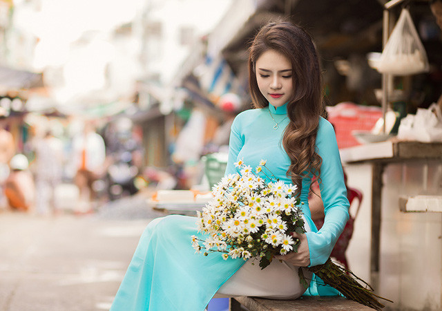 Cúc họa mi Hà Nội khoe sắc bên thiếu nữ Sài Gòn ảnh 11 Cúc họa mi Hà Nội khoe sắc bên thiếu nữ Sài Gòn ảnh 11