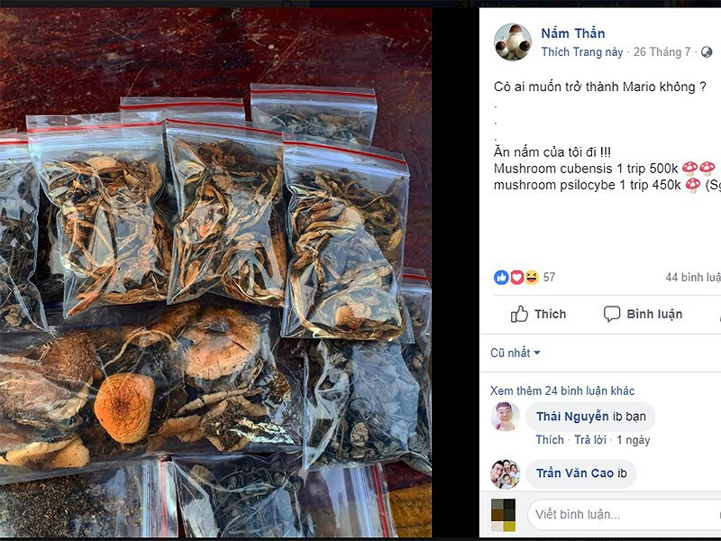 Loại nấm ăn vào thấy người khác ‘tan thành vũng nước’ ảnh 1 Các loại nấm thức thần phơi khô được rao bán sôi nổi trên mạng. Ảnh: HL