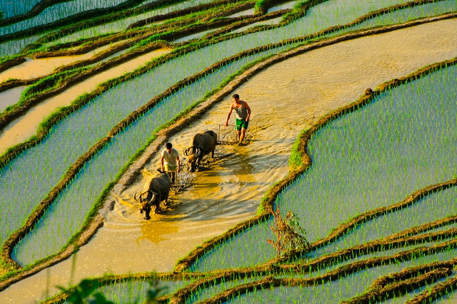  Na Hang mùa nước đổ