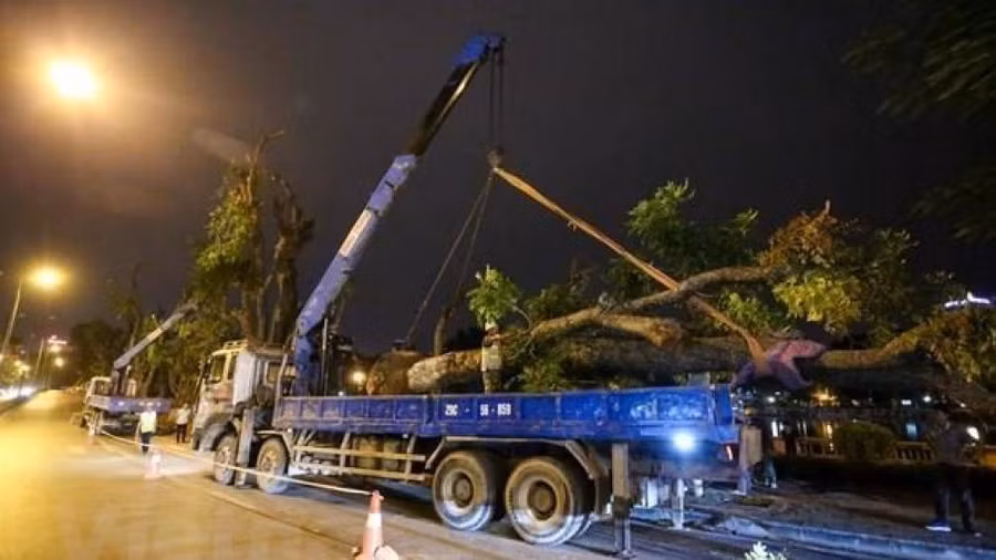 Keyword đầu tiên có dấu