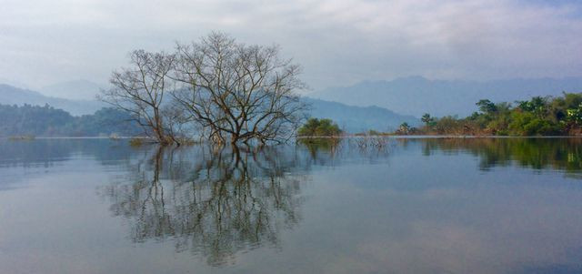 Vườn quốc gia Vũ Quang (Hà Tĩnh).