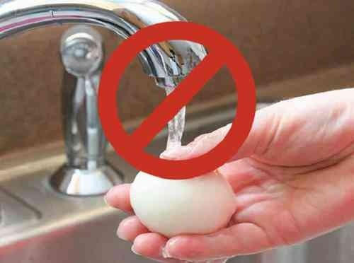 90% các bà nội trợ bảo quản trứng sai cách, rất dễ gây ung thư