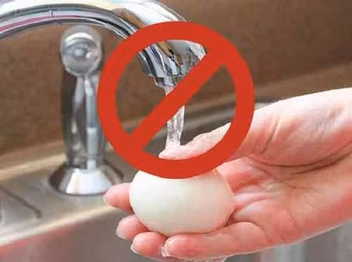 90% các bà nội trợ bảo quản trứng sai cách, rất dễ gây ung thư 