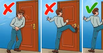 Học cách sống sót khi bị cá mập, gấu... tấn công