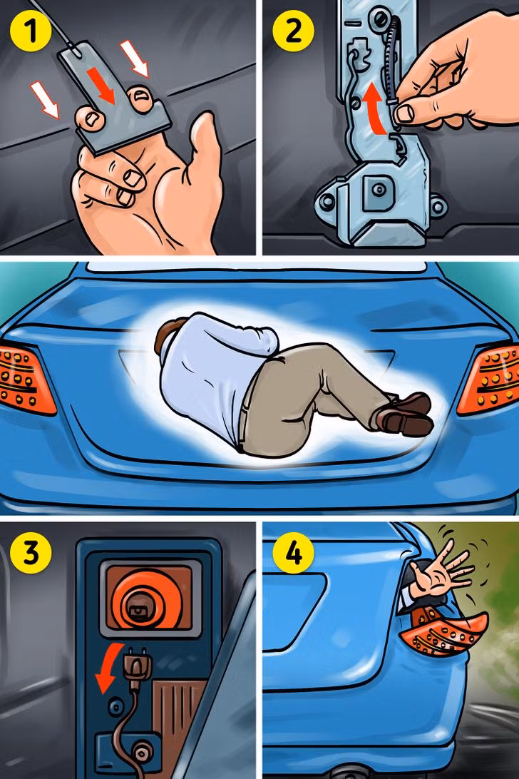 Học cách sống sót khi bị cá mập, gấu... tấn công ảnh 5