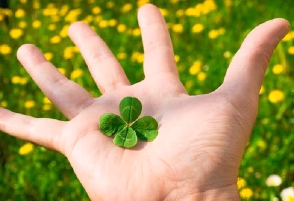  4 con giáp có quý nhân che chở, làm gì cũng thuận lợi ngay đầu tháng 3