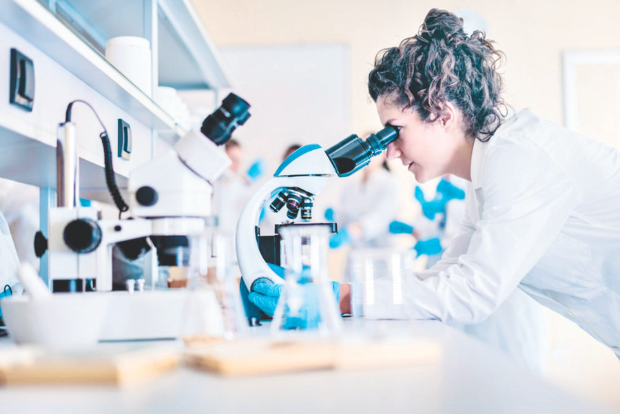 Chuột bạch được ví như “vị cứu tinh” của nhân loại trong các công trình nghiên cứu Chuột bạch được ví như “vị cứu tinh” của nhân loại trong các công trình nghiên cứu