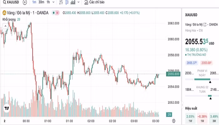 Biểu đồ biến động giá vàng trong 24 giờ qua