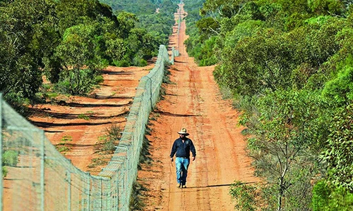 Australia xây hàng rào dài nhất thế giới để ngăn mèo