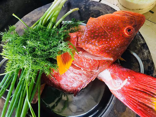  Cá mú đỏ có thể chế biến được nhiều món ăn ngon. 